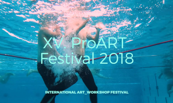 (c) proart-festival.cz
