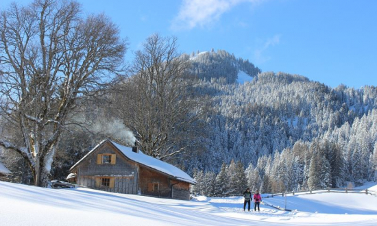 © https://www.vorarlberg-alpenregion.at/feratel/tour/large/glinzgi-egg-buerserberg-36254482.jpg