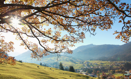 © Kleinwalsertal-Tourismus-eGen_Frank-Drechsel